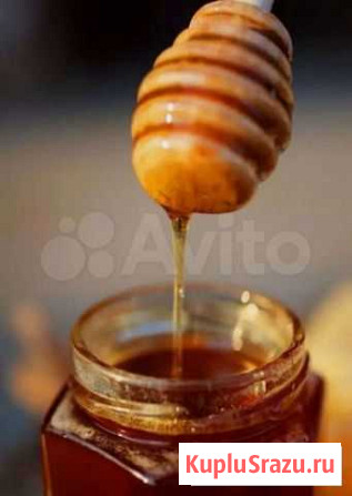 Мед Мурино - изображение 1