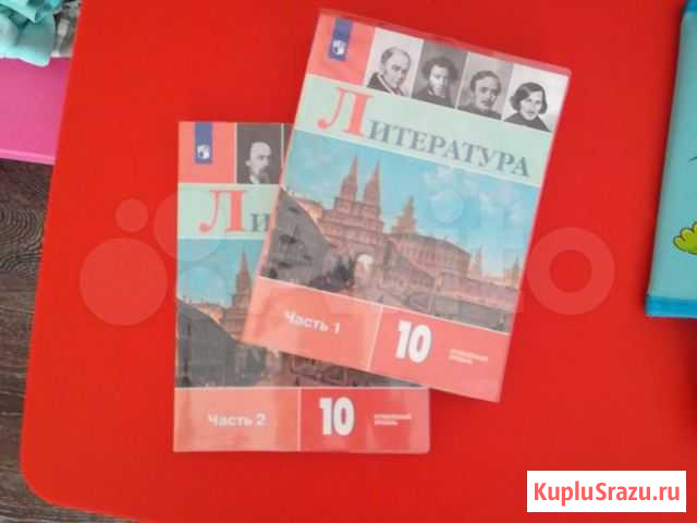 Учебник литературы Прокопьевск - изображение 1