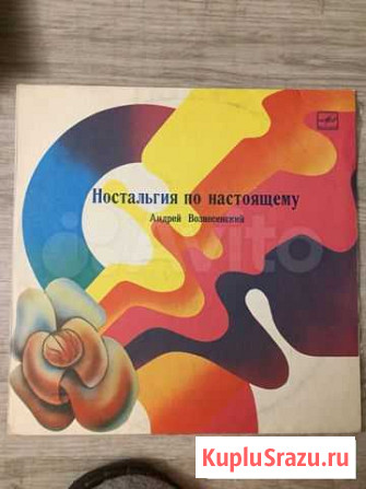 Виниловые пластинки Новосибирск - изображение 1
