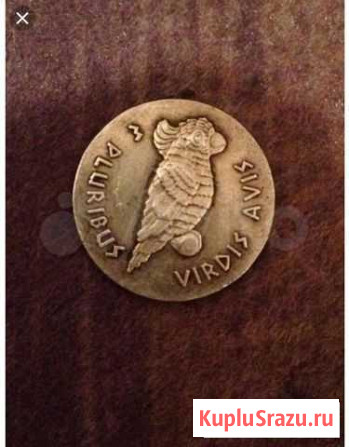 Сувенирная монета Богородск - изображение 1