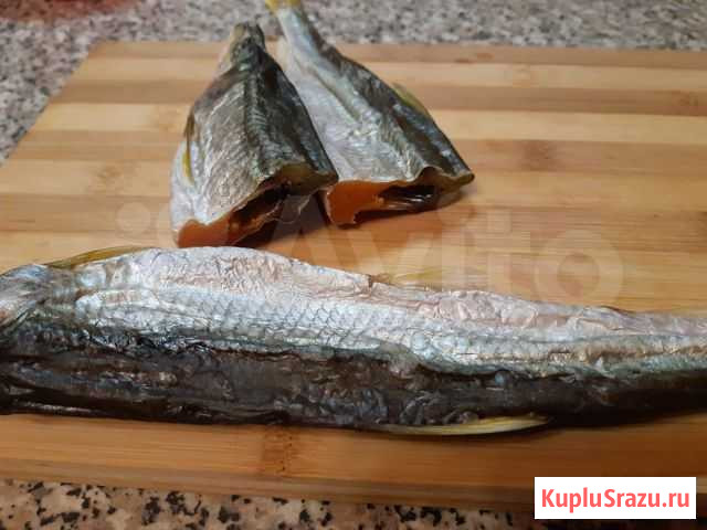Корюшка Зубатка 23+ Хабаровск - изображение 1