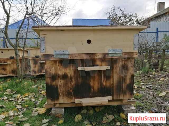 Улья для пчёл Ковернино - изображение 1