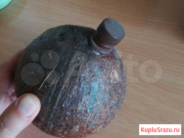 Кокос бутылка, бутылкой Астрахань - изображение 1