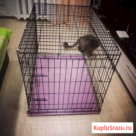 Клетка для собак Саратов - изображение 1