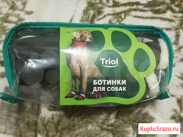 Ботинки для собак Ставрополь - изображение 1