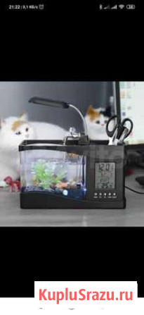 Мини аквариум (новый в коробке) с USB-выходом Махачкала - изображение 1