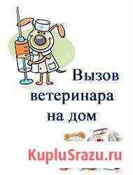 Вызов ветеринарного врача на дом Ростов-на-Дону