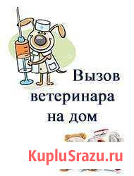 Вызов ветеринарного врача на дом Ростов-на-Дону - изображение 1