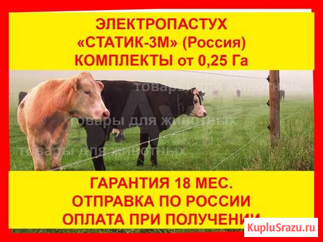 Электропастух купить. Цена. Гарантия Выкса - изображение 1