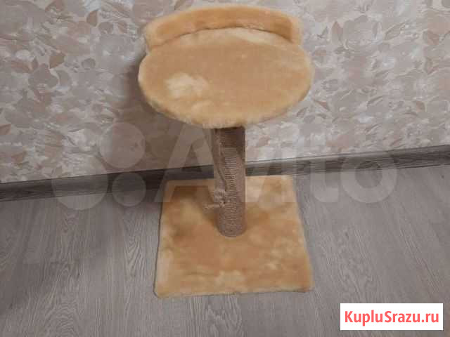 Когтеточка Волгоград - изображение 1
