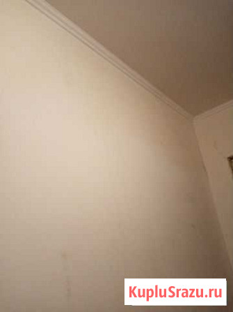 Ремонт Калининград - изображение 1