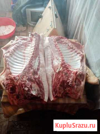 Мясо свинина домашняя Анжеро-Судженск - изображение 1