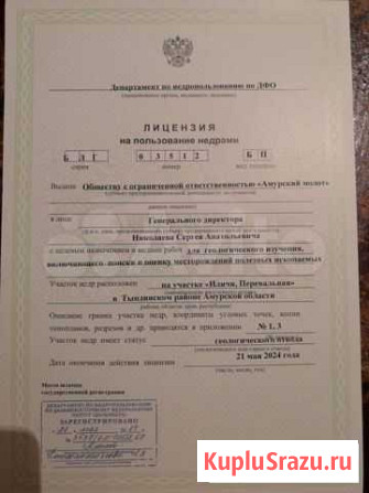 Россыпное месторождение Золота Зея - изображение 1