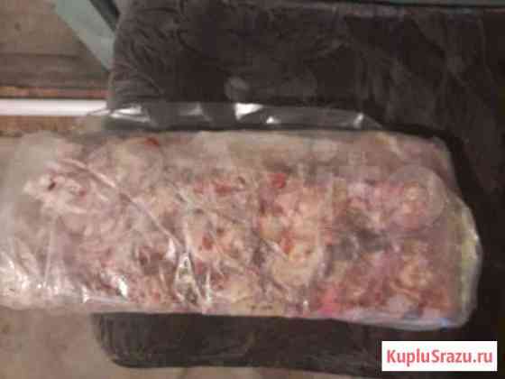 Купить мясо для собак Белово