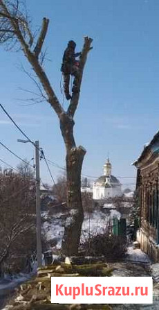 Профессиональное спиливание деревьев. Кронирование Стародуб - изображение 1