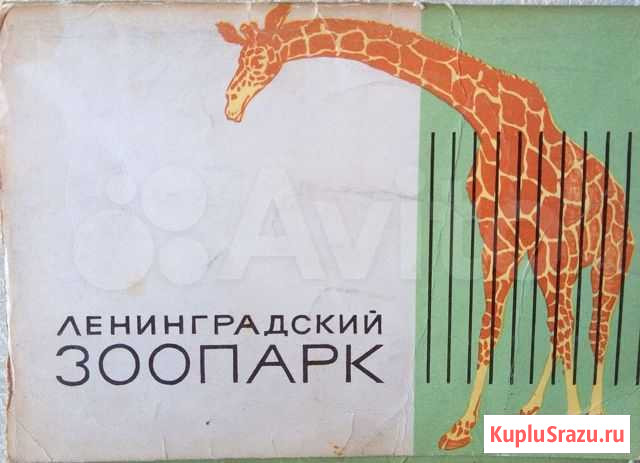 Набор открыток Ленинградский зоопарк Чита - изображение 1