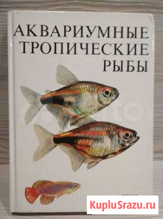 Аквариумные тропические рыбы Хабаровск - изображение 1