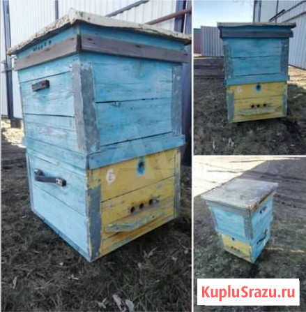 Пчелоинвенторь Бузулук - изображение 1