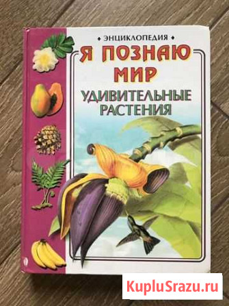 Энциклопедия Пятигорск - изображение 1