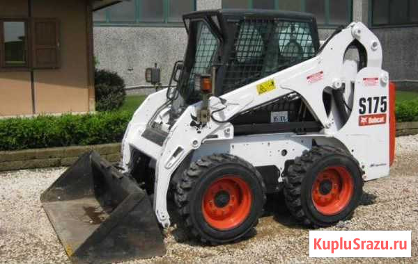 Услуги Аренда Бобкат Bobcat Bobket Бобкэт Бобкет Иркутск - изображение 1