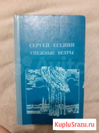 Стихи Сергея Есенина Домодедово - изображение 1