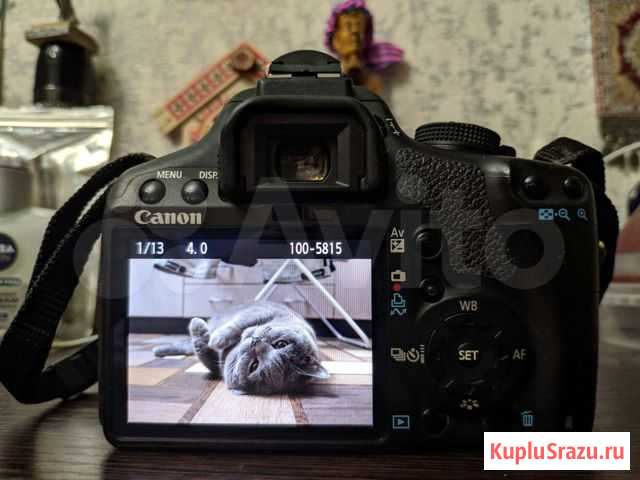 Canon 500d Kit + кофр Егорьевск - изображение 1