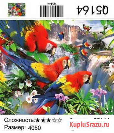 Картина по номерам 40х50 попугаи Киров - изображение 1
