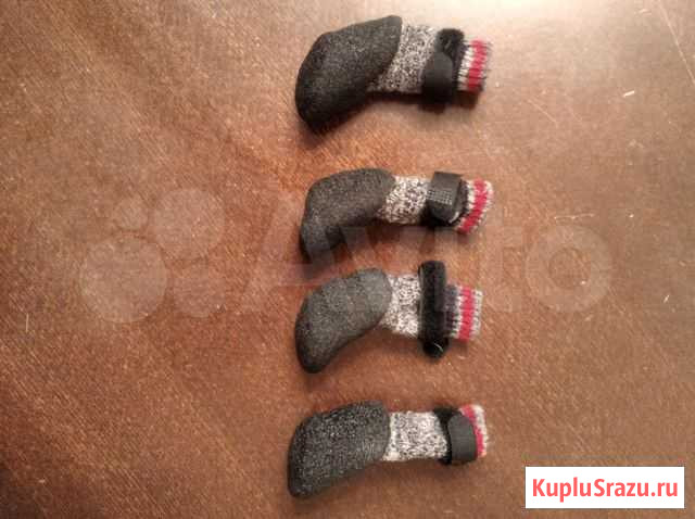 Носочки для собак Сургут - изображение 1