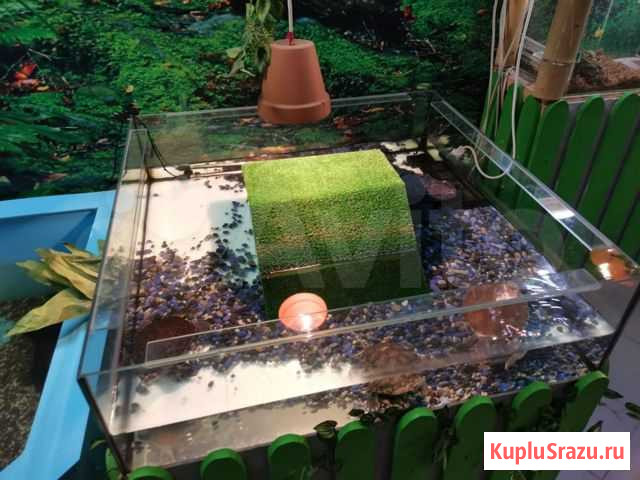 Островки для аквариума Казань - изображение 1