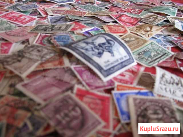 Старая Германия. Классика Краснодар - изображение 1