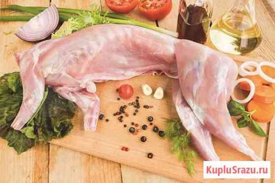 Мясо кролика Тамбов