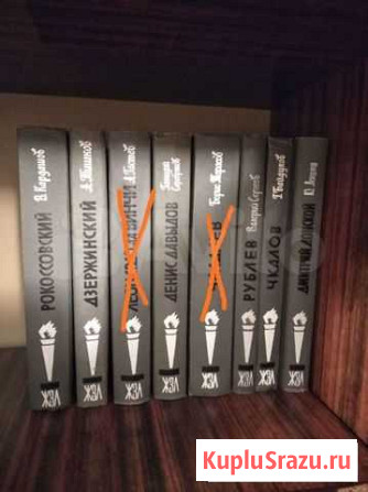 Книги из серии жзл Владимир - изображение 1