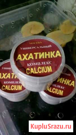 Кальций для улитки Кропоткин - изображение 1