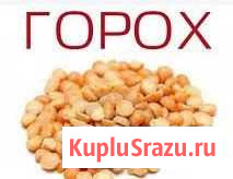 Горох Уфа - изображение 1