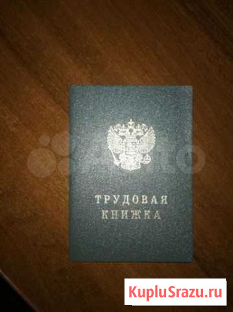 Трудовая книжка Дубна - изображение 1