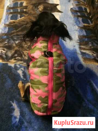 Жилетки Дзержинск - изображение 1