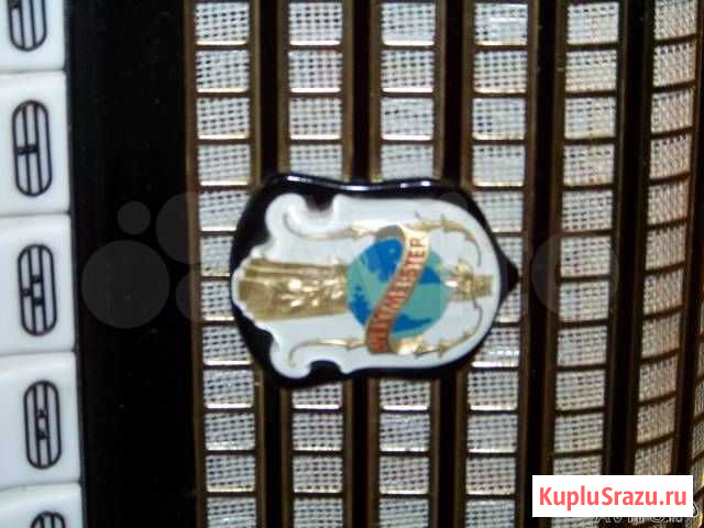 Винтажный немецкий аккордеон середины 20-го века Ржавки - изображение 1