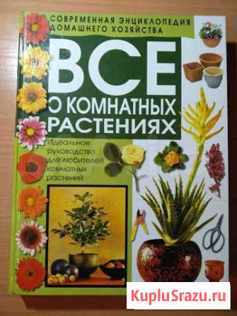 Энциклопедия о комнатных растениях Тамбов - изображение 1