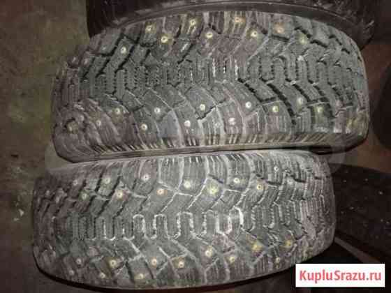 Шипованая 195/65R15 Великий Новгород