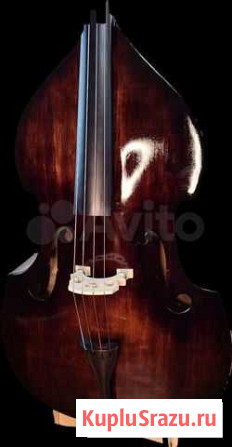Контрабас Москва - изображение 1