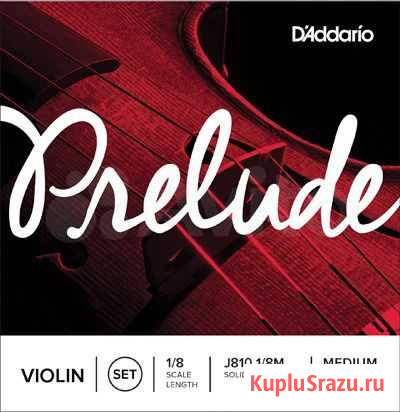 Струны для скрипок Daddario J810-1/8m Prelude Иркутск - изображение 1
