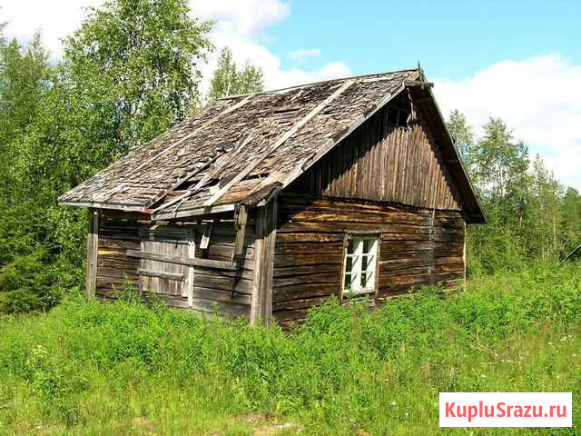 Снос домов старых построек Волосово - изображение 1