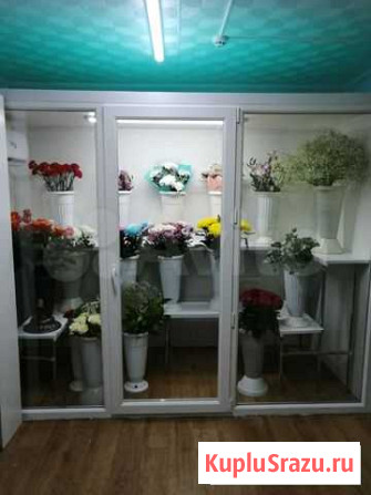 Холодильник для цветов Новый Курск - изображение 1