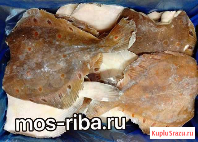 Камбала пятнистая крупная 0,5-1кг Россия Реутов - изображение 1