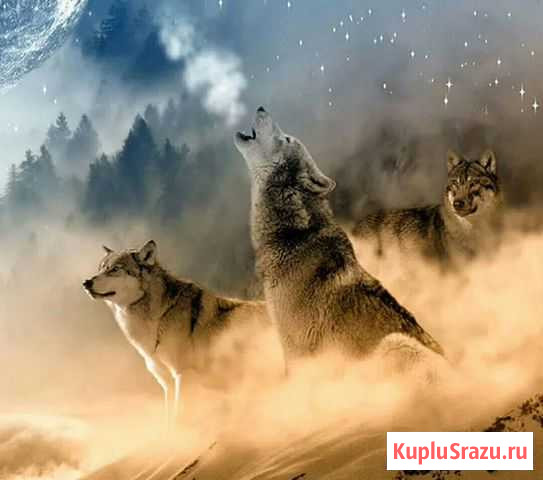 Поклейка обоев Новокузнецк - изображение 1