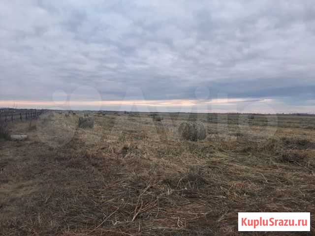 Зерносенаж Кабанск - изображение 1