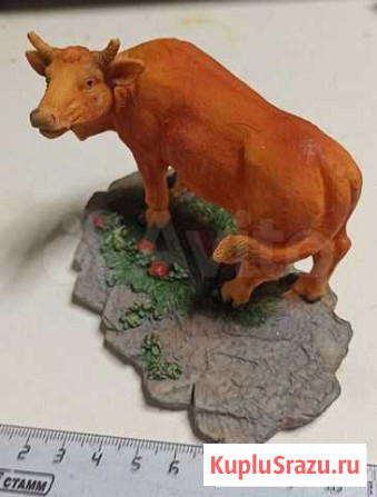 Корова Коломна - изображение 1