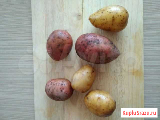 Продам картофель Благовещенск - изображение 1