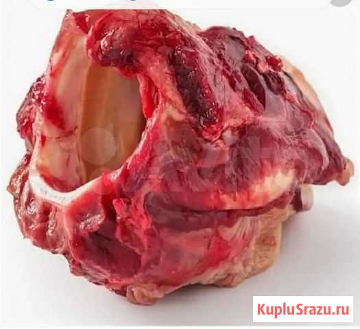 Мясо для собак Курск - изображение 1