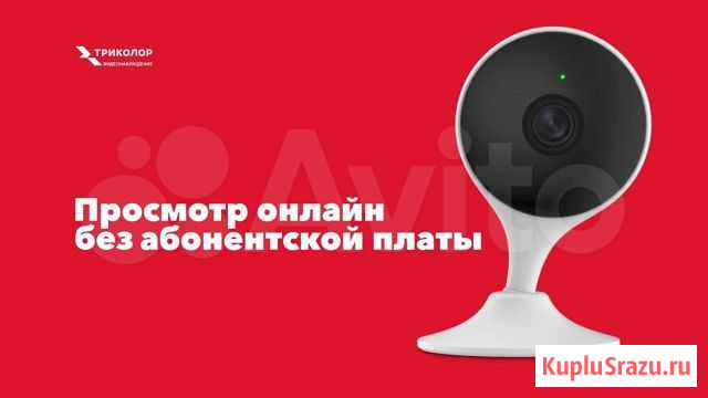 Домашняя камера SCI Казань - изображение 1